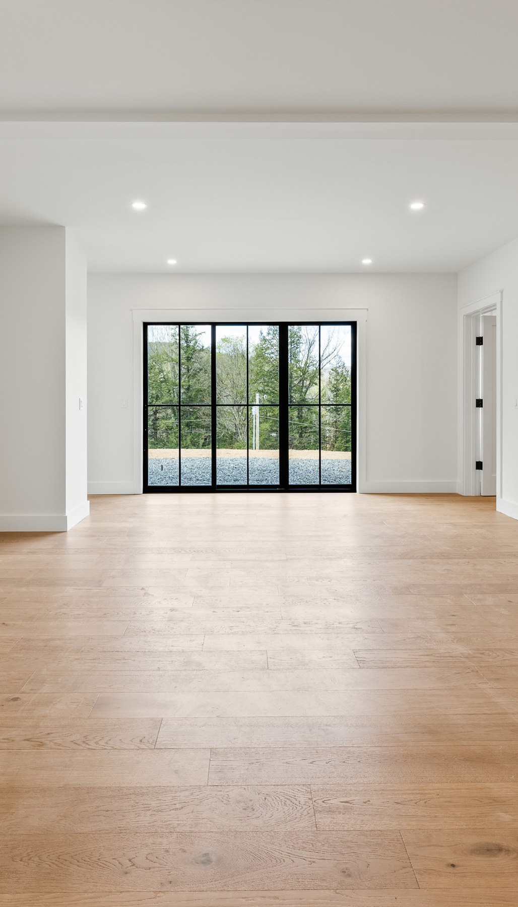 Open lower level room with wide plank floors and glass doors